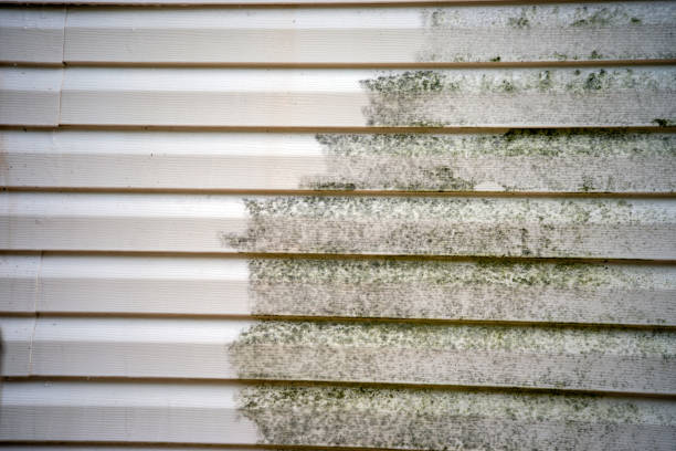 Affordable siding repair and maintenance services in La Honda, CA