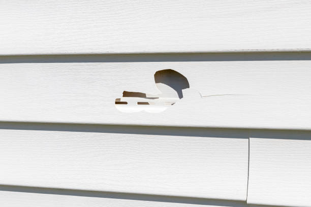 La Honda, CA Siding Installation & Repair Company