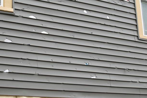 Best Aluminum Siding Installation  in La Honda, CA