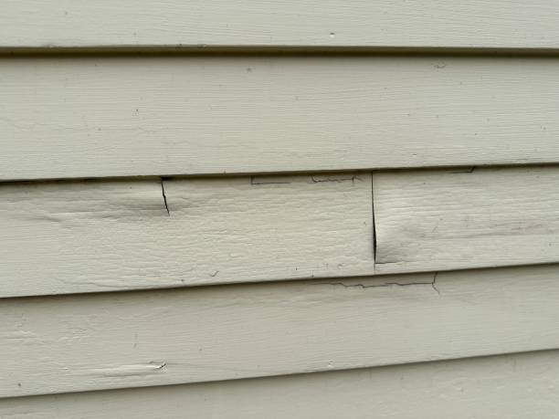 Best Fascia and Soffit Installation  in La Honda, CA